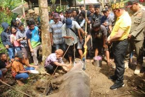 Hadiri Aruh Adat Pemujaan Gua Temuluang Ini Kata Bupati Kotabaru