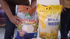 Bulog Pastikan Stok Beras Cukup Penuhi Kebutuhan Ramadan Hingga IdulfitrI Untuk Tanbu dan Kotabaru
