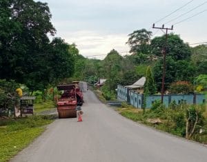 Hore! Ruas Jalan di Desa Karangsari, Tanbu Kini Mulus Beraspal