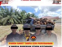 Polsek Pamukan Ringkus 4 Pelaku Pencurian Buah Sawit Milik PT Minamas