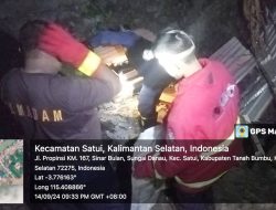 Terima Aduan Warga, Damkar Satui Turun Tangkap Ular Piton Masuk Kandang Ayam