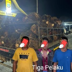 Polsek Sungai Loban Ungkap Kasus Pencurian Buah Kelapa Sawit, Kerugian Capai Rp 1,7 Miliar