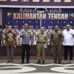 Pemerintah Cetak Sawah 100 Ribu Hektare di Kalimantan Tengah untuk Swasembada Pangan Nasional
