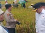 Dirjen Kementan dan Bupati Tanah Bumbu Kolaborasi dalam Gerakan Menanam Padi Serentak