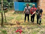 Dituduh Mencuri Kelapa, Pria di Tanah Bumbu Bacok Tetangganya hingga Tewas
