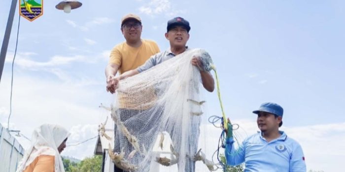 Bupati Kotabaru Dorong Ketahanan Pangan Lewat Budidaya Udang Vaname dan Windu