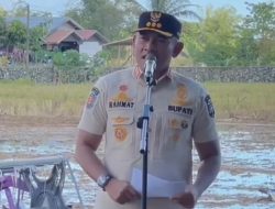 Bupati Tala Pimpin Gerakan Tanam Padi Serentak di Lok Serapang