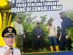 Bupati Kotabaru Tinjau Rencana Tambak Udang Teknologi Tinggi di Pulau Laut Timur