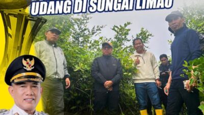 Bupati Kotabaru Tinjau Rencana Tambak Udang Teknologi Tinggi di Pulau Laut Timur