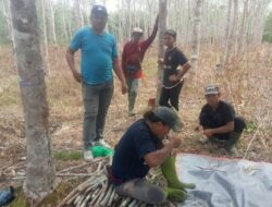 Hilang di Kebun Karet, Keluarga Libatkan 7 Praktisi Spiritual Untuk Lacak Panjul