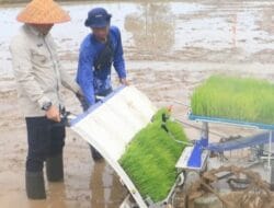 Rahmat Trianto, Bupati Tanah Laut Yang Menjemput Swasembada Pangan 