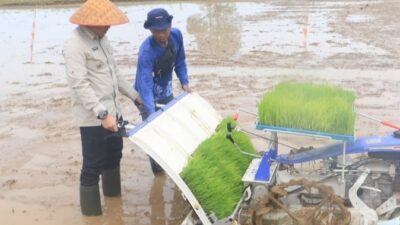 Rahmat Trianto, Bupati Tanah Laut Yang Menjemput Swasembada Pangan 
