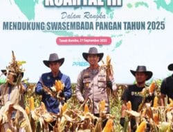 Polres Tanah Bumbu  Panen Raya Jagung Serentak Kuartal lll di Gunung Tinggi