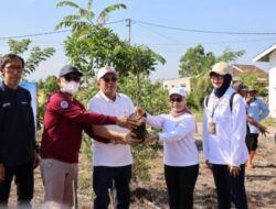 Aksi Penanaman Pohon Dalam Rangka Menyambut Hari Habitat Dan Hari Kota Sedunia 2025 di Gelar Pemprov Kalsel