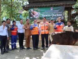 Indocement Salurkan 204 Hewan Kurban, Wujud Kepedulian Untuk Masyarakat Sekitar Operasional