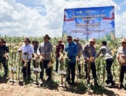Kapolres Tanah Bumbu Mengikuti Panen Raya Jagung dan Launching SPPG Polri