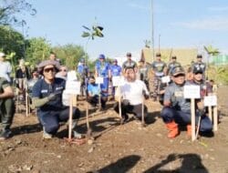 Bersama Stakeholder, Pelindo Batulicin Tanam Ratusan Bibit Mangrove Peringati Hari Mangrove Sedunia