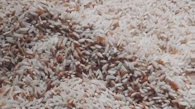 Warga Kotabaru Keluhkan Beras Bansos Menguning dan Berkutu, Bulog Siap Ganti Jika Terbukti Tak Layak