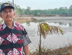 Kemarau Panjang, Wisata Danau Watu Tanjung di Desa Sumber Wangi Mulai Mengering, Wahana Bebek Air Ditutup 